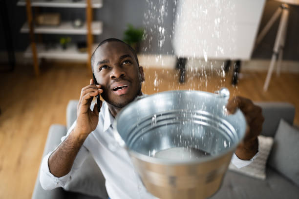 Best Water damage cleanup near me  in Hotchkiss, CO