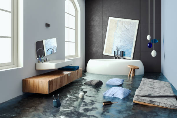 Best Sewage cleanup and water damage restoration  in Hotchkiss, CO