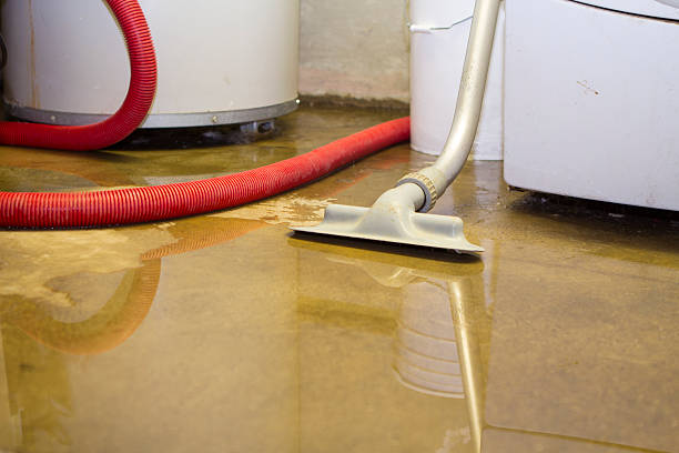  Hotchkiss, CO Water damage restoration Pros